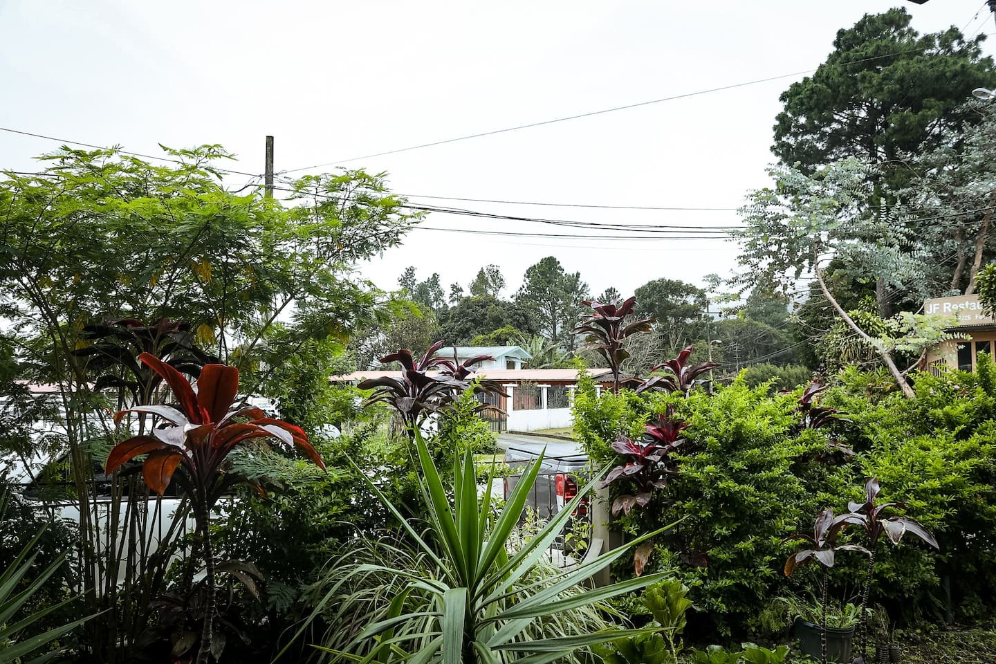 Boquete Jardín foto 9